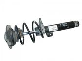 Front shock absorber/damper