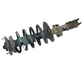 Front shock absorber/damper