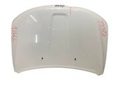 Engine bonnet/hood