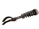 Front shock absorber/damper