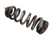 Rear coil spring