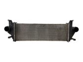 Intercooler radiator