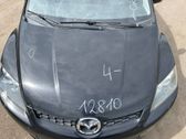 Motorhaube