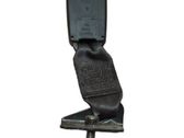 Rear seatbelt buckle