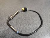Abgastemperatursensor