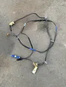 Telar de cableado del sistema de sonido