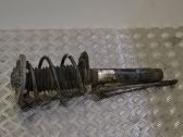 Amortiguador delantero con muelle espiral