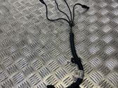 Other wiring loom