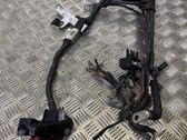 Wires (generator/alternator)