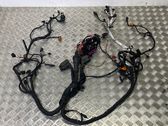 Other wiring loom