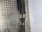 Wiper trim