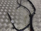 Other wiring loom