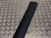 Rear door trim (molding)