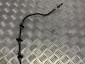 Fuel line pipe