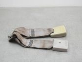 Rear seatbelt buckle