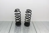 Rear coil spring