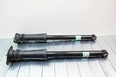 Rear shock absorber/damper