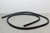 Trunk rubber seal (body)