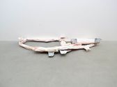 Airbag de toit