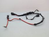 Other wiring loom