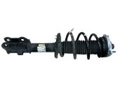 Front shock absorber/damper
