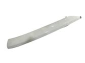 Windshield trim