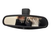 Rear view mirror (interior)