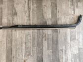 Door glass rail