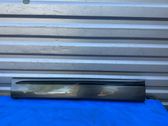 Front door trim (molding)