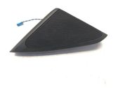 Front door high frequency speaker