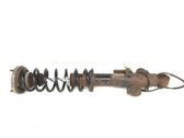 Rear shock absorber with coil spring