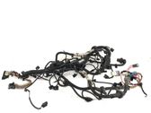 Other wiring loom
