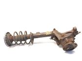 Front shock absorber with coil spring