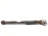 Rear shock absorber/damper