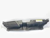 Engine bonnet/hood lock trim molding
