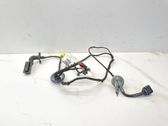 Front door wiring loom