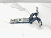 Tailgate/trunk/boot hinge