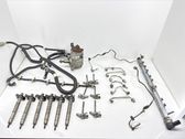 Fuel injection system set