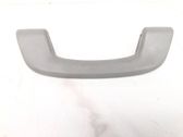 Front interior roof grab handle