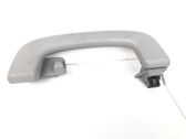 Rear interior roof grab handle