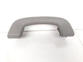 Front interior roof grab handle