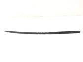 Windshield trim