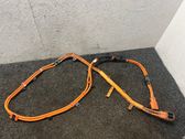 Other wiring loom