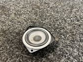 Panel speaker