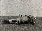 Front shock absorber with coil spring