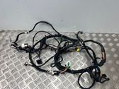 Other wiring loom