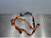 Other wiring loom