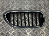 Atrapa chłodnicy / Grill