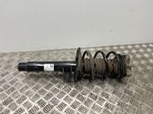 Amortiguador delantero con muelle espiral