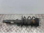 Front shock absorber with coil spring